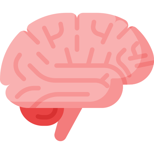 Brain & Spine Surgery